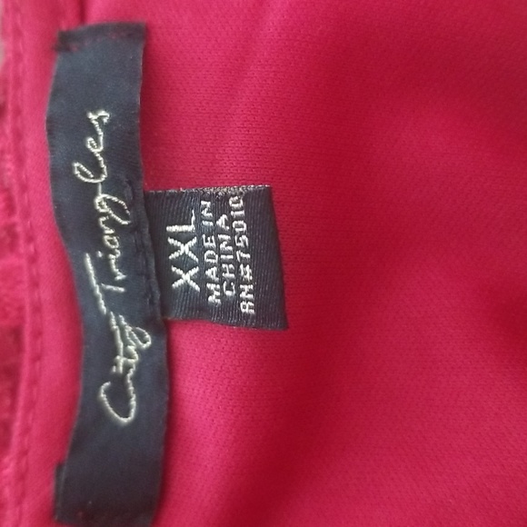 City Triangles Plus Size Lace Roses Overlay Fully Lined Dress - Picture 7 of 8